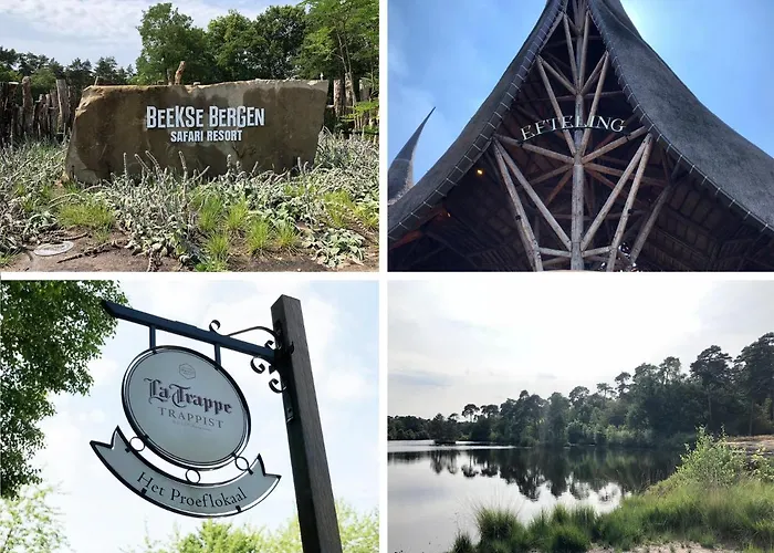 The Old Garage Bed & Breakfast